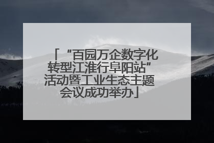 “百园万企数字化转型江淮行阜阳站”活动暨工业生态主题会议成功举办